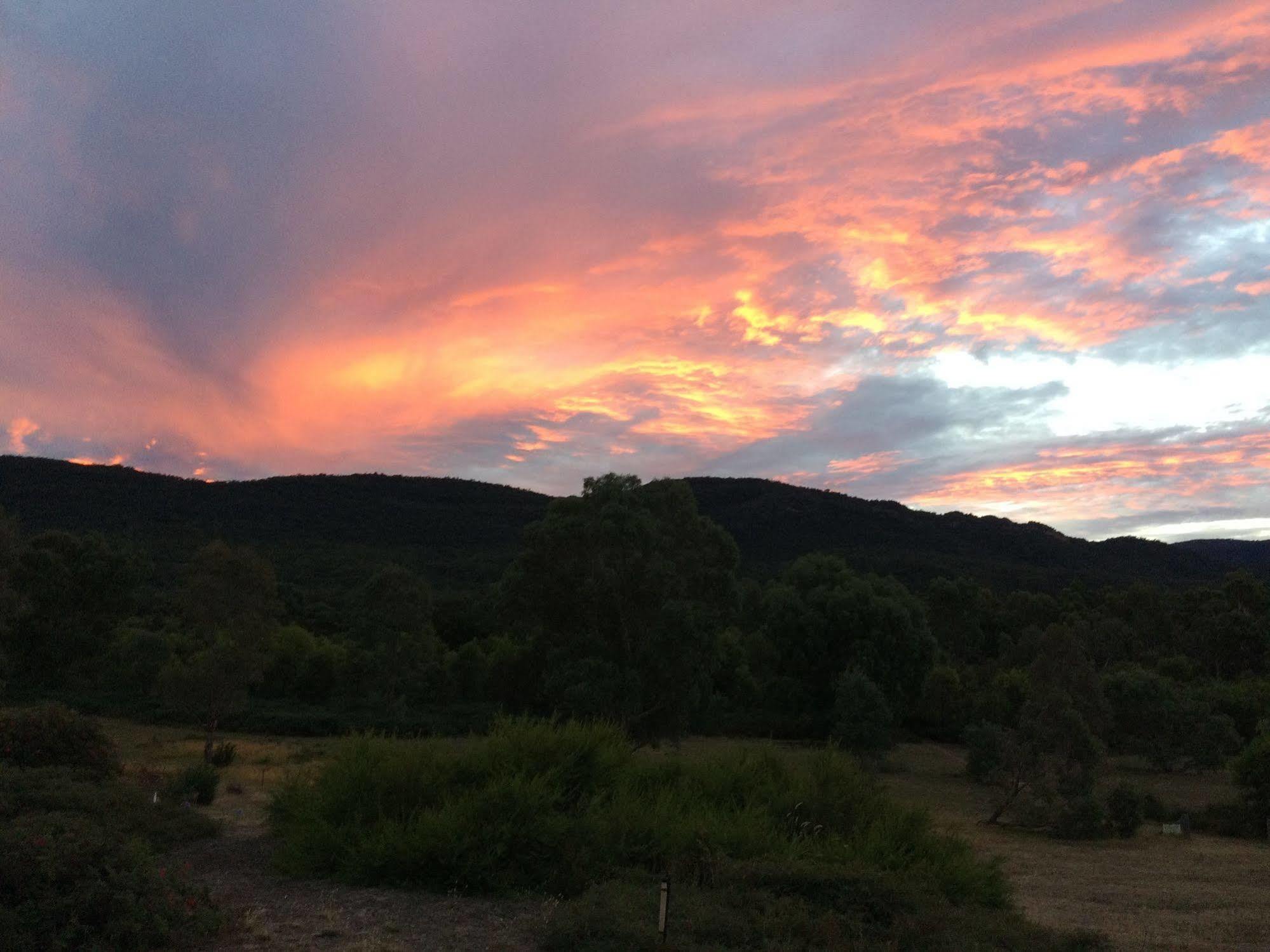 Grampians Pioneer Cottages Halls Gap Εξωτερικό φωτογραφία