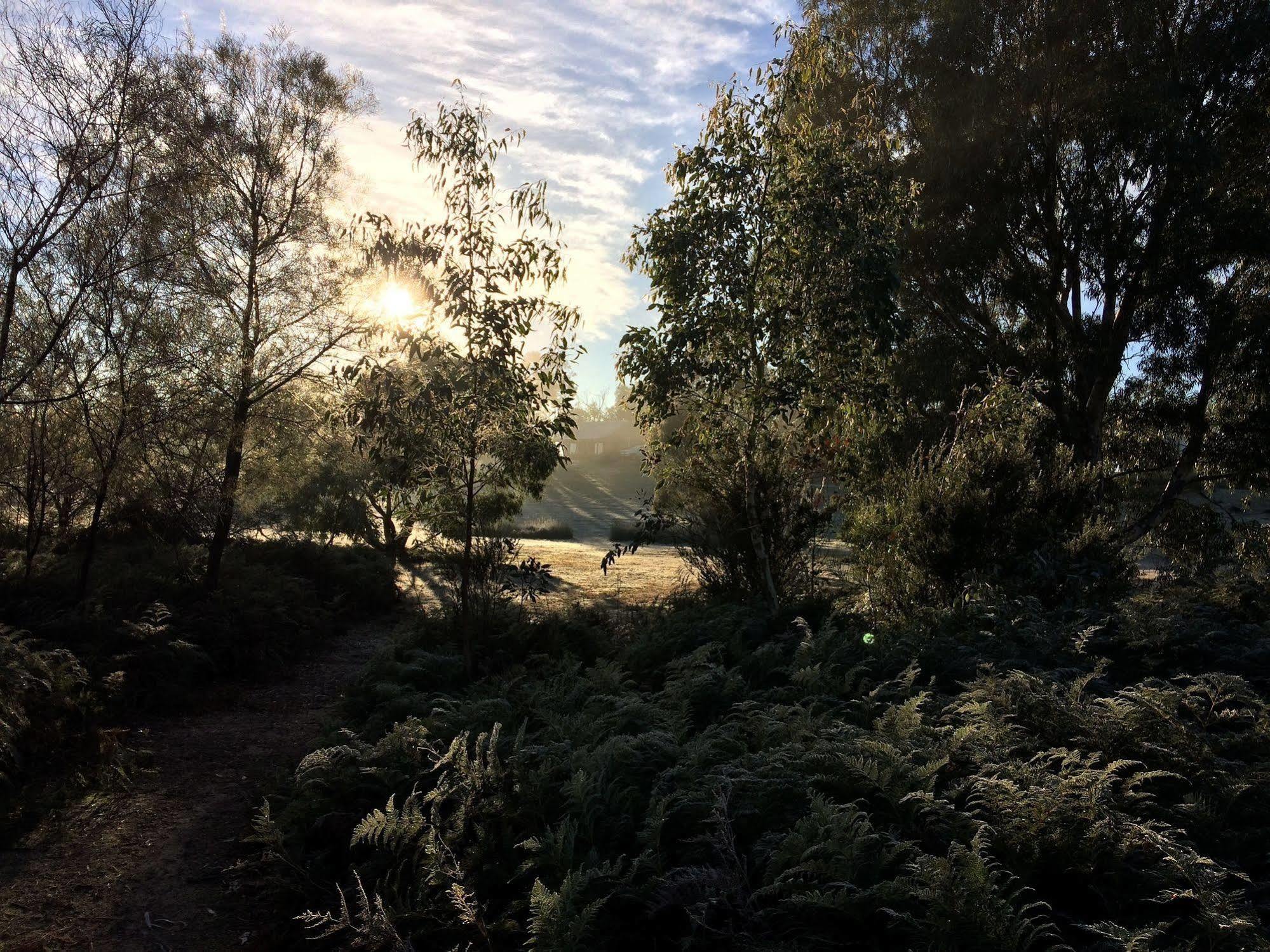 Grampians Pioneer Cottages Halls Gap Εξωτερικό φωτογραφία
